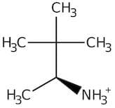 (+/-)-3,3-Dimethyl-2-butylamine, 98%