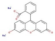 Fluorescein disodium salt hydrate