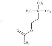 Acetylcholine iodide, 98%
