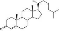 4-Cholesten-3-one, 98+%
