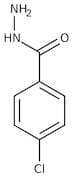4-Chlorobenzhydrazide, 98%
