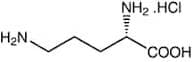 L-Ornithine hydrochloride, 99%