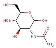 N-Acetyl-D-glucosamine, 98+%