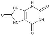 Uric acid, 99%