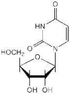 Uridine, 99%