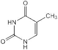 Thymine, 97%