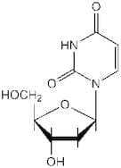 2'-Deoxyuridine, 98+%
