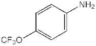 4-(Trifluoromethoxy)aniline, 98%