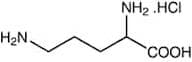 DL-Ornithine monohydrochloride, 99%