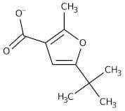 5-tert-Butyl-2-methyl-3-furoic acid, 97%
