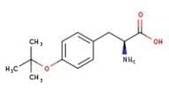 O-tert-Butyl-L-tyrosine, 99%