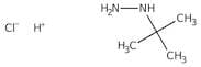 tert-Butylhydrazine hydrochloride, 98%