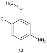 2,4-Dichloro-5-methoxyaniline, 98%