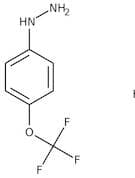 4-(Trifluoromethoxy)phenylhydrazine hydrochloride, 98%