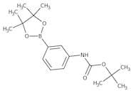 3-(Boc-amino)benzeneboronic acid pinacol ester, 97%
