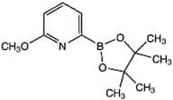 6-Methoxypyridine-2-boronic acid pinacol ester, 97%