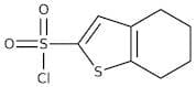 4,5,6,7-Tetrahydrobenzo[b]thiophene-2-sulfonyl chloride, 95%