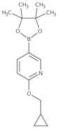 6-(Cyclopropylmethoxy)pyridine-3-boronic acid pinacol ester, 97%