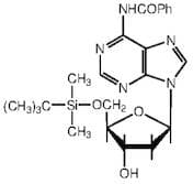 N-Benzoyl-5'-O-tert-butyldimethylsilyl-2'-deoxyadenosine, 98+%