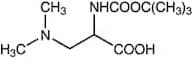 N-Boc-3-dimethylamino-DL-alanine, 97%