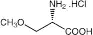 O-Methyl-L-serine hydrochloride, 95%