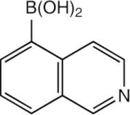 Isoquinoline-5-boronic acid, 97%