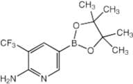 2-Amino-3-(trifluoromethyl)pyridine-5-boronic acid pinacol ester, 96%