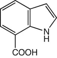 Indole-7-carboxylic acid, 97%
