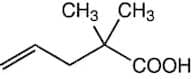 2,2-Dimethyl-4-pentenoic acid, 95%