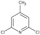 2,6-Dichloro-4-methylpyridine, 95%