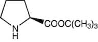 L-Proline tert-butyl ester, 98%