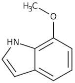 7-Methoxyindole, 97%