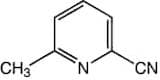 2-Cyano-6-methylpyridine, 98%