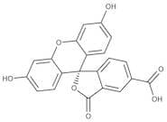 5-Carboxyfluorescein, single isomer, 97%