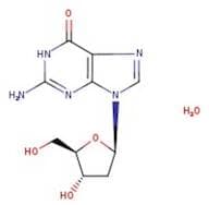 2'-Deoxyguanosine Monohydrate, Synthetic, >98% (Dry Basis)