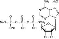 Adenosine-5'-triphosphate disodium salt hydrate, ultrapure, 98%