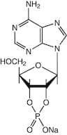 Adenosine-2',3'-cyclic monophosphate sodium salt, 97%