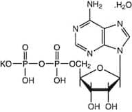 Adenosine-5'-diphosphate monopotassium salt dihydrate, 99%