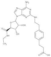 CGS 21680 hydrochloride, 99%