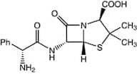 Ampicillin