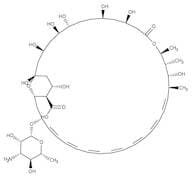 Amphotericin B, Streptomyces nodosus