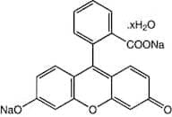 Fluorescein disodium salt