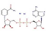 β-Nicotinamide adenine dinucleotide reduced disodium salt, 97%