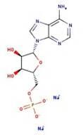 Adenosine-5'-monophosphate disodium salt