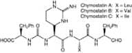 Chymostatin