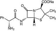 Ampicillin sodium salt