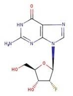 2'-Fluoro-2'-deoxyguanosine, 99%