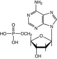 2'-Deoxyadenosine-5'-monophosphate, 98%