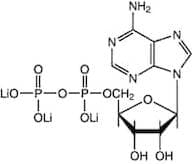 Adenosine-5'-diphosphate trilithium salt, 98%