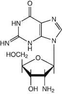 2'-Amino-2'-deoxyguanosine, 98%